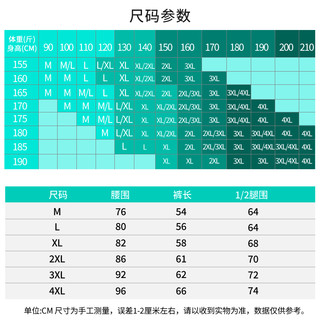 沙滩裤男士可下水速干宽松款大码泳裤男防尴尬泡温泉度假游泳短裤