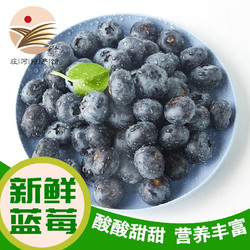 鲜姿 辽宁鲜果蓝莓 125g*8盒中果品质装