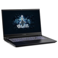 COLORFUL 七彩虹 将星X17Pro 17.3英寸游戏笔记本电脑（i9-12900H、16GB、1TB SSD、RTX3070Ti ）