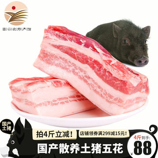 密园小农 新鲜土猪肉 五花肉 500g