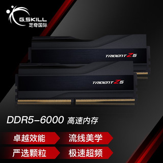 G.SKILL 芝奇 炫锋戟  DDR5 6000MHz 台式机内存条 32GB(16Gx2)套装 黯雾黑