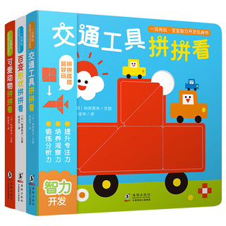《宝宝智力开发玩具书·一玩再玩》（套装全3册）