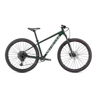 SPECIALIZED 闪电 ROCKHOPPER EXPERT 山地自行车 橡木绿/金属白银 29英寸 12速 M