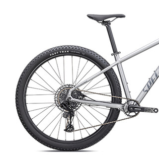 SPECIALIZED 闪电 ROCKHOPPER EXPERT 山地自行车 缎银粉/黑色全息 29英寸 12速 XL