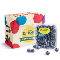 怡颗莓 当季云南蓝莓 12盒装 约125g/盒