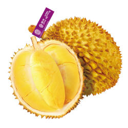JAVA 佳沃 泰国金枕头榴莲鲜果1.5kg-2kg(限100件)