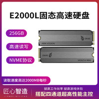 海康威视 SSD固态硬盘E2000L笔记本台式硬盘低功耗 256G