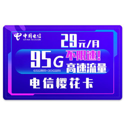 CHINA TELECOM 中国电信 电信樱花卡 29元永久月享65G通用流量+30G定向流量