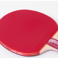 DHS 红双喜 乒乓球拍双拍专业级三星狂飙3星儿童小学生兵乓球单拍套装