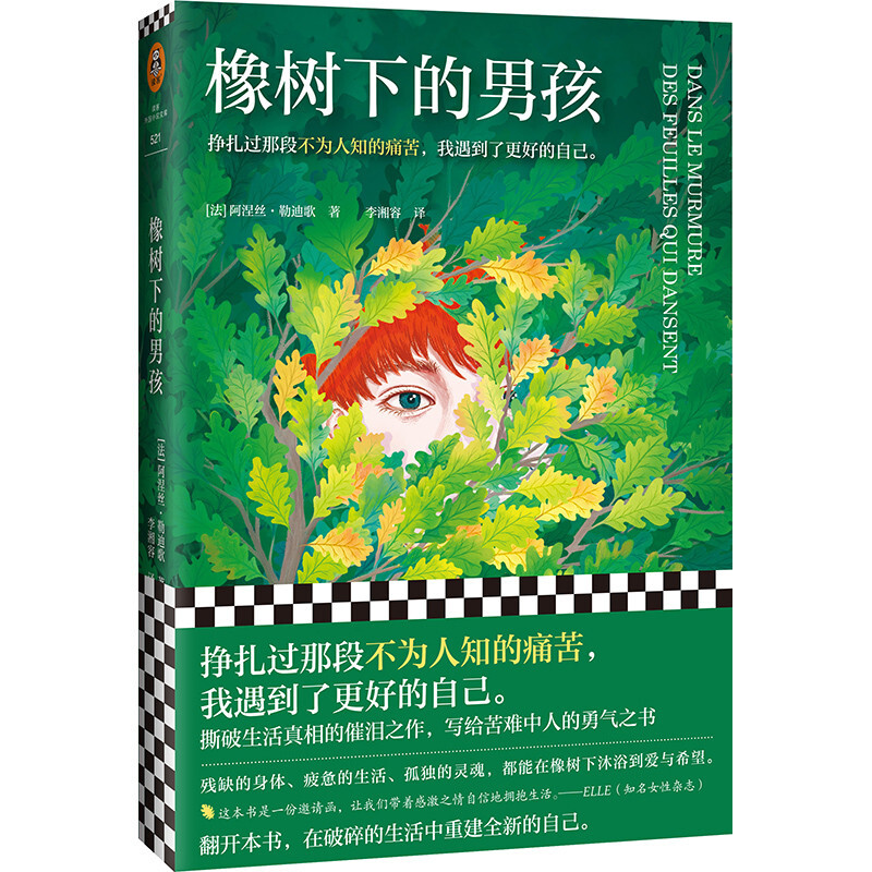 河南文艺出版社 《橡树下的男孩》