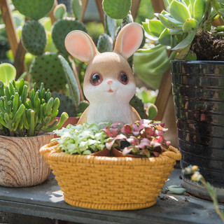 家点靓 可爱兔子多肉花盆创意个性阳台布置户外庭院摆件花园装饰植物盆栽 兔子花盆A款