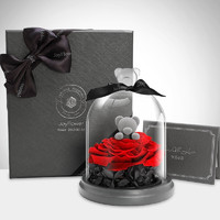 PLUS会员：RoseBox 玫瑰盒子 心花怒放熊 玫瑰永生花