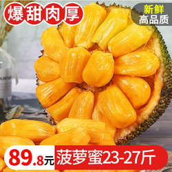 寻味君 海南黄肉菠萝蜜 23-27斤