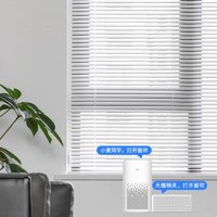 DOOYA 杜亚 米家wifi电机+1平百叶帘+遥控（可定制尺寸）
