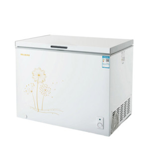 MELING 美菱 BC/BD-300DT 冰柜 300L