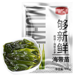 Muhai 目海 霞浦特产盐渍海带苗 500g*2包