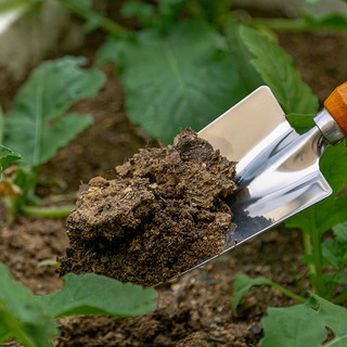 IRIS 爱丽思 园艺小铲子套装不锈钢种植挖土家用赶海铁锹铲种菜养花工具
