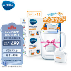 BRITA 碧然德 专家版滤芯11枚+设计师水壶蓝（到手1壶12芯）