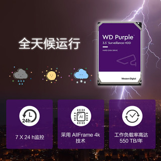 西部数据 监控级硬盘 WD Purple 西数紫盘pro 18TB 7200转 512MB SATA CMR (WD181EJRP)