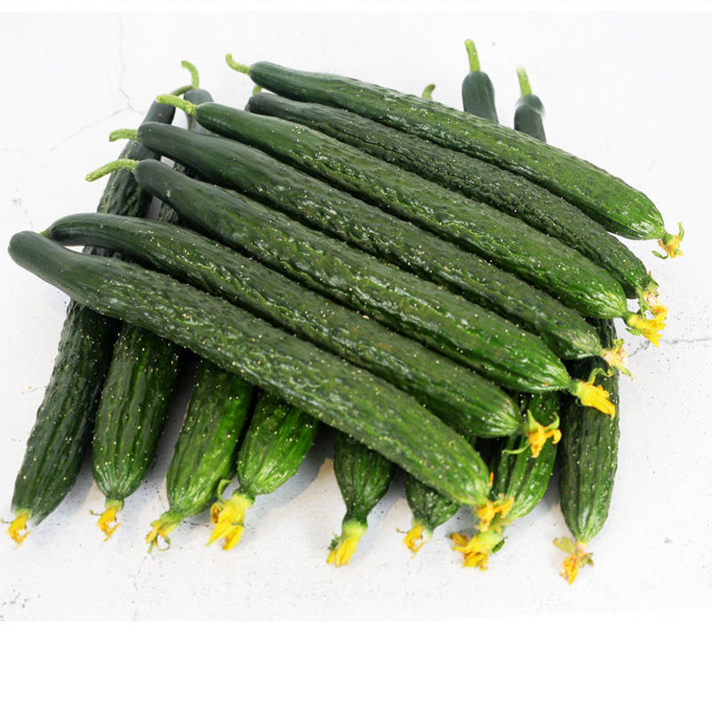 shui guo shu cai/水果蔬菜 现摘现发农家自种新鲜脆嫩绿心黄瓜清脆