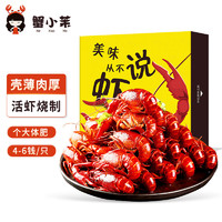 蟹小茉 十三香小龙虾组合套装（1.8kg4-6钱*3盒 36-50只/盒）总重5.4kg 净虾3kg