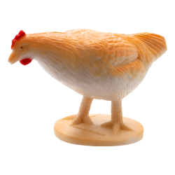 生日礼物仿真动物玩具模型男女宝宝认知野生动物园恐龙摆件玩具母鸡