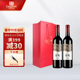 CHANGYU 张裕 国产红酒 赤霞珠 星璇精选干红13%vol葡萄酒 750ml*2双支礼袋