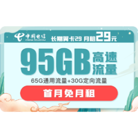 中国电信 长期翼卡B 29元月租 （65GB通用、30GB专属）