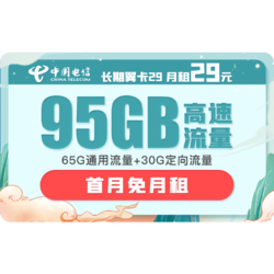 CHINA TELECOM 中国电信 长期翼卡B 29元月租 （65GB通用、30GB专属）