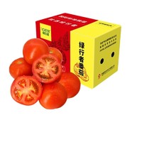 GREER 绿行者 又红番茄新鲜西红柿 1.5kg