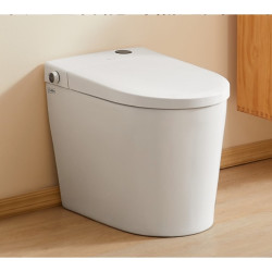 dongpeng 东鹏 小户型智能马桶 雪融旗舰款 305mm