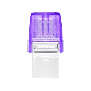 Kingston 金士顿 DataTraveler系列 DTDUO3C USB3.1 U盘 银紫色 256GB USB/Type-C