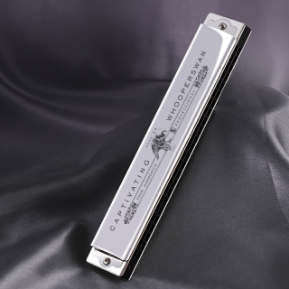 swan 天鹅 口琴 24孔复音 日本进口音簧 高级成人专业演奏口琴c调