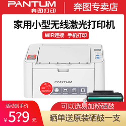 PANTUM 奔图 P2206NW 黑白激光办公打印机 灰色