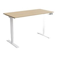 Loctek 乐歌 E3/LIFT1 桌腿银灰+原木色桌板 140*70*25cm