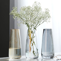 乐之沭 北欧玻璃清新花瓶摆件现代简约客厅透明雪柳水养鲜花插花花器桌面