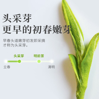 乐品乐茶 碧螺春茶叶明前绿茶特级头采嫩芽春尖茶罐装礼盒装250g