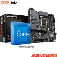 intel 英特尔 i5 12400F 12490F 12600K i5-12600kf套装 CPU主板套装 B660M GAMING X DDR4 i5 12600K 10核16线程