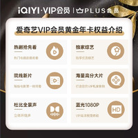 爱奇艺 VIP黄金年卡+京东Plus会员年卡