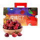 京觅 国产红宝石樱桃 车厘子 JJ级 1.5kg礼盒装 单果约10-12g  新鲜水果礼盒