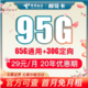 中国电信 长期翼卡 29元 65G全国通用流量+30G定向流量 长期卡 首月0月租