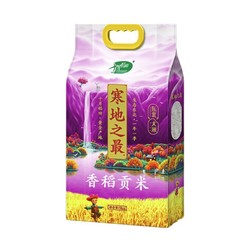 SHI YUE DAO TIAN 十月稻田 生态长粒香大米 东北大米 香米 5kg