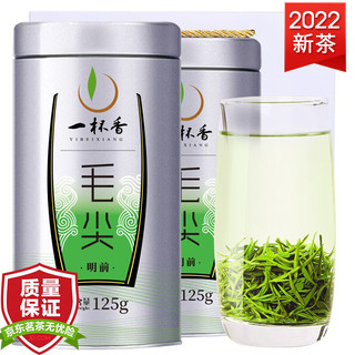 一杯香 2022新茶一杯香茶叶绿茶毛尖茶2罐共250g礼盒装明前春茶浓香型散装茗茶