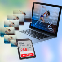 SanDisk 闪迪 至尊高速系列 SD存储卡 256GB（UHS-I、C10）