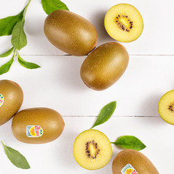 Zespri 佳沛 奇异果猕猴桃金果  18粒 175-204克