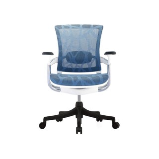 Ergonor 保友办公家具 奕精英版 人体工学居家电脑椅
