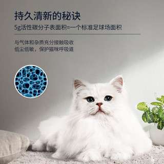 美国原装进口 铂钻EverClean猫砂膨润土无尘 低尘锁水结团高效除臭膨润土矿砂 无香-持久抗臭25磅11.3kg 芳香-多猫抑氨25磅11.3kg