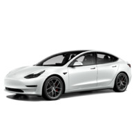 TESLA 特斯拉 Model 3 22款 Performance高性能全轮驱动版