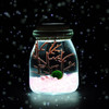 CAITI 采缇 海藻球生态小夜灯 淡雅粉 含1颗1岁球球