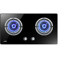 VATTI 华帝 i10036B 嵌入式燃气灶